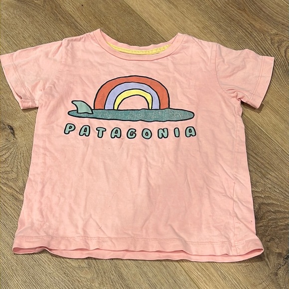 BABY PATAGONIA TEE THE CUTEST TEE EVER SIZE 3T - Picture 1 of 4